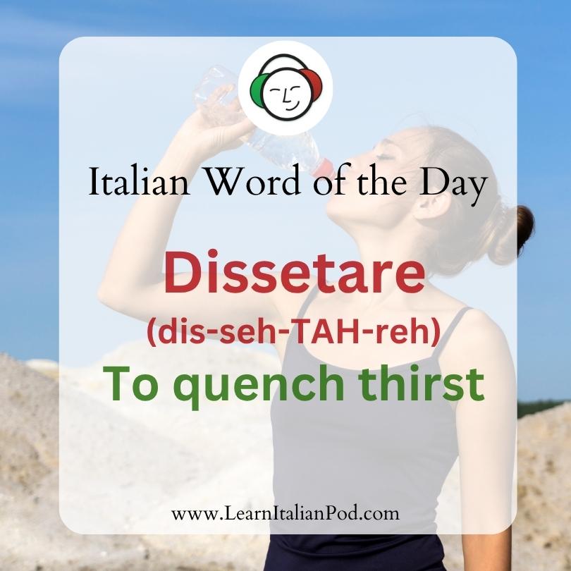 Dissetare