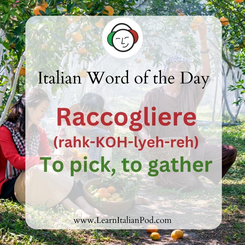 Raccogliere
